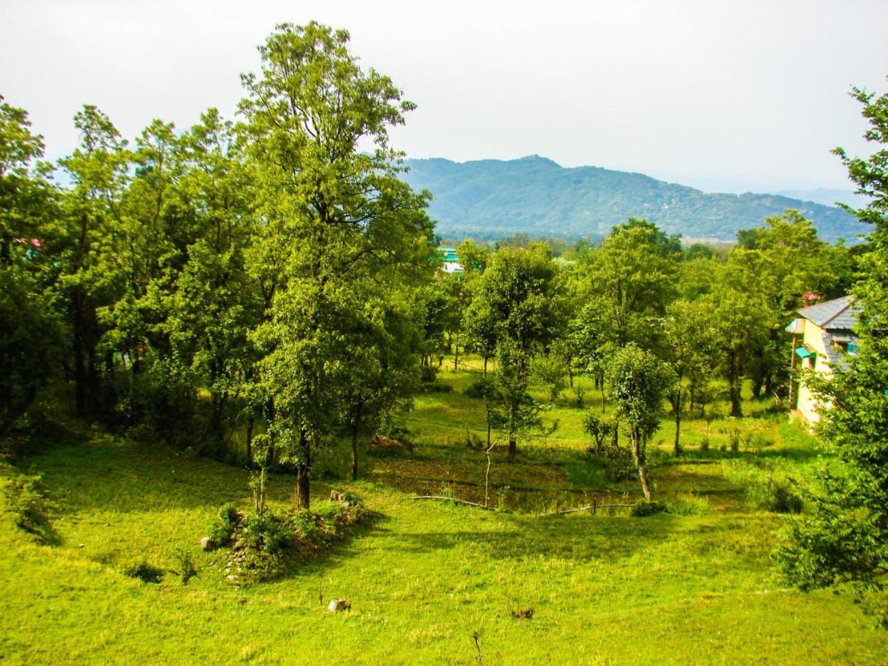 Travelodge Homestay Bir  Luaran gambar